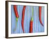 Red Chilli Peppers Chillies Freshly Harvested on Pale Blue Background-Gary Smith-Framed Photographic Print