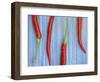 Red Chilli Peppers Chillies Freshly Harvested on Pale Blue Background-Gary Smith-Framed Photographic Print