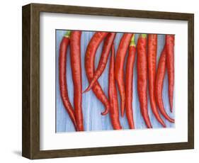 Red Chilli Peppers Chillies Freshly Harvested on Pale Blue Background-Gary Smith-Framed Photographic Print