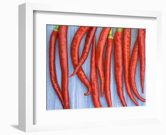 Red Chilli Peppers Chillies Freshly Harvested on Pale Blue Background-Gary Smith-Framed Photographic Print