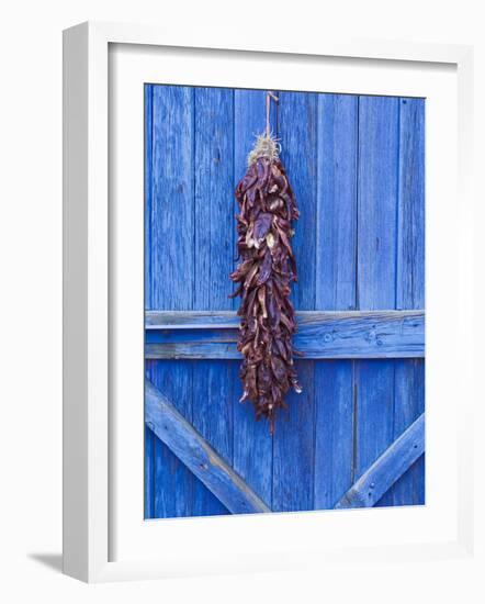 Red Chilli Peppers on Barn Door, New Mexico, United States of America, North America-Michael DeFreitas-Framed Photographic Print