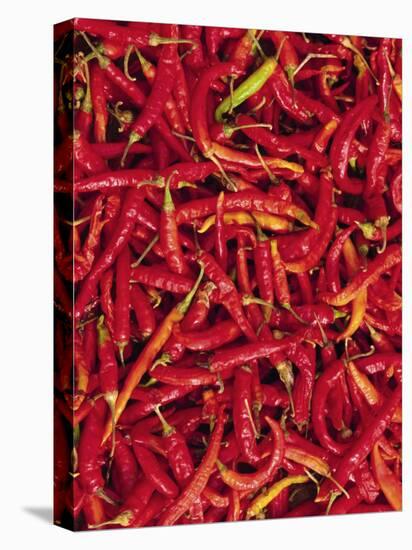 Red Chilli Peppers, Rajasthan, India-Bruno Morandi-Stretched Canvas
