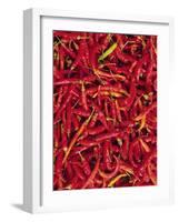 Red Chilli Peppers, Rajasthan, India-Bruno Morandi-Framed Photographic Print