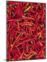 Red Chilli Peppers, Rajasthan, India-Bruno Morandi-Mounted Photographic Print