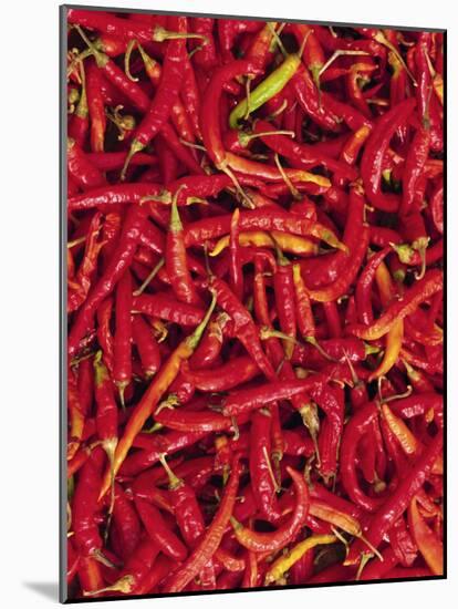 Red Chilli Peppers, Rajasthan, India-Bruno Morandi-Mounted Photographic Print