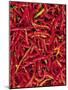 Red Chilli Peppers, Rajasthan, India-Bruno Morandi-Mounted Photographic Print