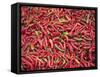Red Chillies for Sale at Paro Open-Air Market, Red and Green Chillies are Very Important Ingredient-Nigel Pavitt-Framed Stretched Canvas