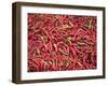 Red Chillies for Sale at Paro Open-Air Market, Red and Green Chillies are Very Important Ingredient-Nigel Pavitt-Framed Photographic Print