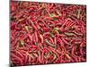 Red Chillies for Sale at Paro Open-Air Market, Red and Green Chillies are Very Important Ingredient-Nigel Pavitt-Mounted Photographic Print