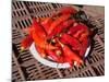 Red chillies for sale at Saturday animal market, Otavalo, Imbabura Province, Ecuador-null-Mounted Photographic Print