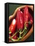 Red Chillies in a Small Dish-Bernd Euler-Framed Stretched Canvas