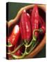 Red Chillies in a Small Dish-Bernd Euler-Stretched Canvas