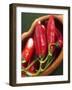 Red Chillies in a Small Dish-Bernd Euler-Framed Premium Photographic Print