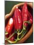 Red Chillies in a Small Dish-Bernd Euler-Mounted Premium Photographic Print