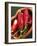 Red Chillies in a Small Dish-Bernd Euler-Framed Photographic Print