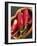 Red Chillies in a Small Dish-Bernd Euler-Framed Photographic Print