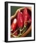 Red Chillies in a Small Dish-Bernd Euler-Framed Photographic Print