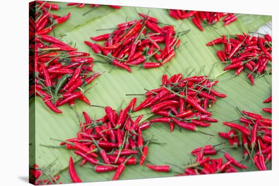 Red Chillies on Sale in Town Market, Kengtung (Kyaingtong), Shan State, Myanmar (Burma), Asia-Lee Frost-Stretched Canvas