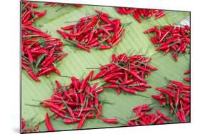 Red Chillies on Sale in Town Market, Kengtung (Kyaingtong), Shan State, Myanmar (Burma), Asia-Lee Frost-Mounted Photographic Print