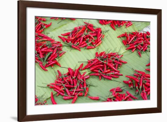 Red Chillies on Sale in Town Market, Kengtung (Kyaingtong), Shan State, Myanmar (Burma), Asia-Lee Frost-Framed Photographic Print