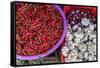 Red Chillies, Onions, and Garlic for Sale at Fresh Food Market in Chau Doc-Michael Nolan-Framed Stretched Canvas