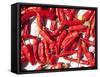 Red Chillis Drying in the Sun Punakha Valley, Bhutan, Asia-Lee Frost-Framed Stretched Canvas