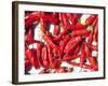 Red Chillis Drying in the Sun Punakha Valley, Bhutan, Asia-Lee Frost-Framed Photographic Print