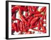 Red Chillis Drying in the Sun Punakha Valley, Bhutan, Asia-Lee Frost-Framed Photographic Print