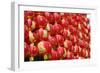 Red Chinese Lantern Wall-glowonconcept-Framed Photographic Print