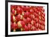 Red Chinese Lantern Wall-glowonconcept-Framed Photographic Print