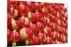 Red Chinese Lantern Wall-glowonconcept-Mounted Photographic Print