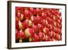 Red Chinese Lantern Wall-glowonconcept-Framed Photographic Print