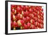 Red Chinese Lantern Wall-glowonconcept-Framed Photographic Print