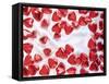 Red Chocolate Hearts for Valentine's Day-Brigitte Krauth-Framed Stretched Canvas