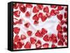 Red Chocolate Hearts for Valentine's Day-Brigitte Krauth-Framed Stretched Canvas