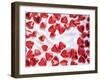 Red Chocolate Hearts for Valentine's Day-Brigitte Krauth-Framed Photographic Print