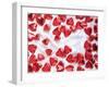 Red Chocolate Hearts for Valentine's Day-Brigitte Krauth-Framed Photographic Print