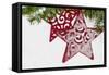Red Christmas Star with Snow-Cora Niele-Framed Stretched Canvas