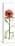 Red Chrysanthemum-Albert Koetsier-Stretched Canvas