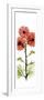 Red Chrysanthemums-Albert Koetsier-Framed Premium Giclee Print