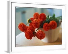 Red Chrysanthemums-Colin Anderson-Framed Photographic Print