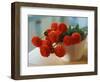 Red Chrysanthemums-Colin Anderson-Framed Photographic Print