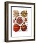 Red Clam Shells-Fab Funky-Framed Art Print