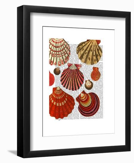 Red Clam Shells-Fab Funky-Framed Art Print