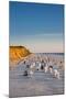 Red Cliff, Kampen, Sylt Island, Northern Frisia, Schleswig-Holstein, Germany-Sabine Lubenow-Mounted Photographic Print