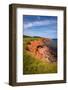 Red Cliffs of Prince Edward Island Atlantic Coast in Green Gables Shore, Pei, Canada.-elenathewise-Framed Photographic Print