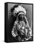 Red Cloud (1822-1909)-null-Framed Stretched Canvas