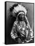 Red Cloud (1822-1909)-null-Framed Stretched Canvas