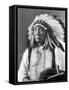 Red Cloud, Dakota Chief, Wearing a Headdress, 1880s-David Frances Barry-Framed Stretched Canvas