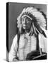 Red Cloud, Dakota Chief, Wearing a Headdress, 1880s-David Frances Barry-Stretched Canvas